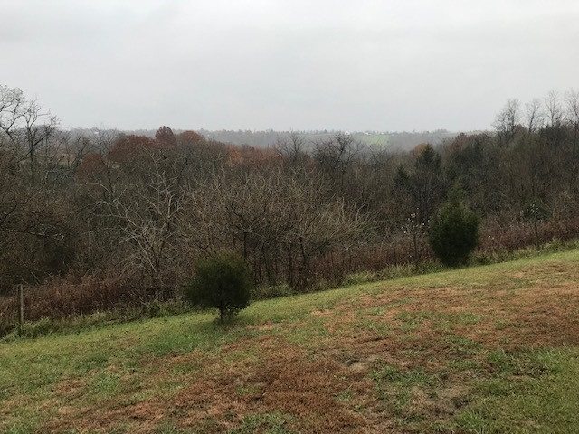 503 Kabler Mill Road Brooksville, KY 41004 - Photo 11 of 31 Gallery Image 11