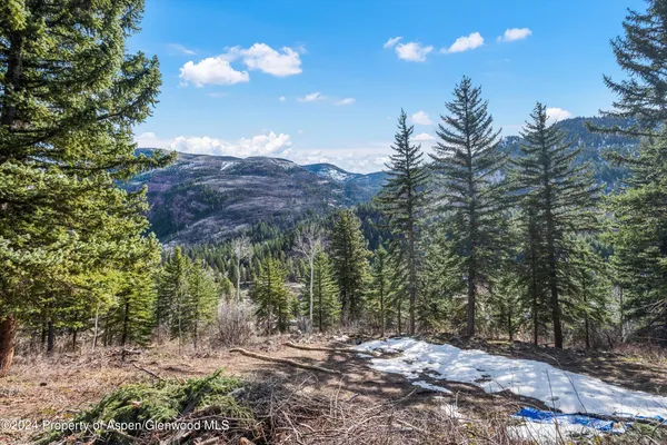 a view of a backyard with green space