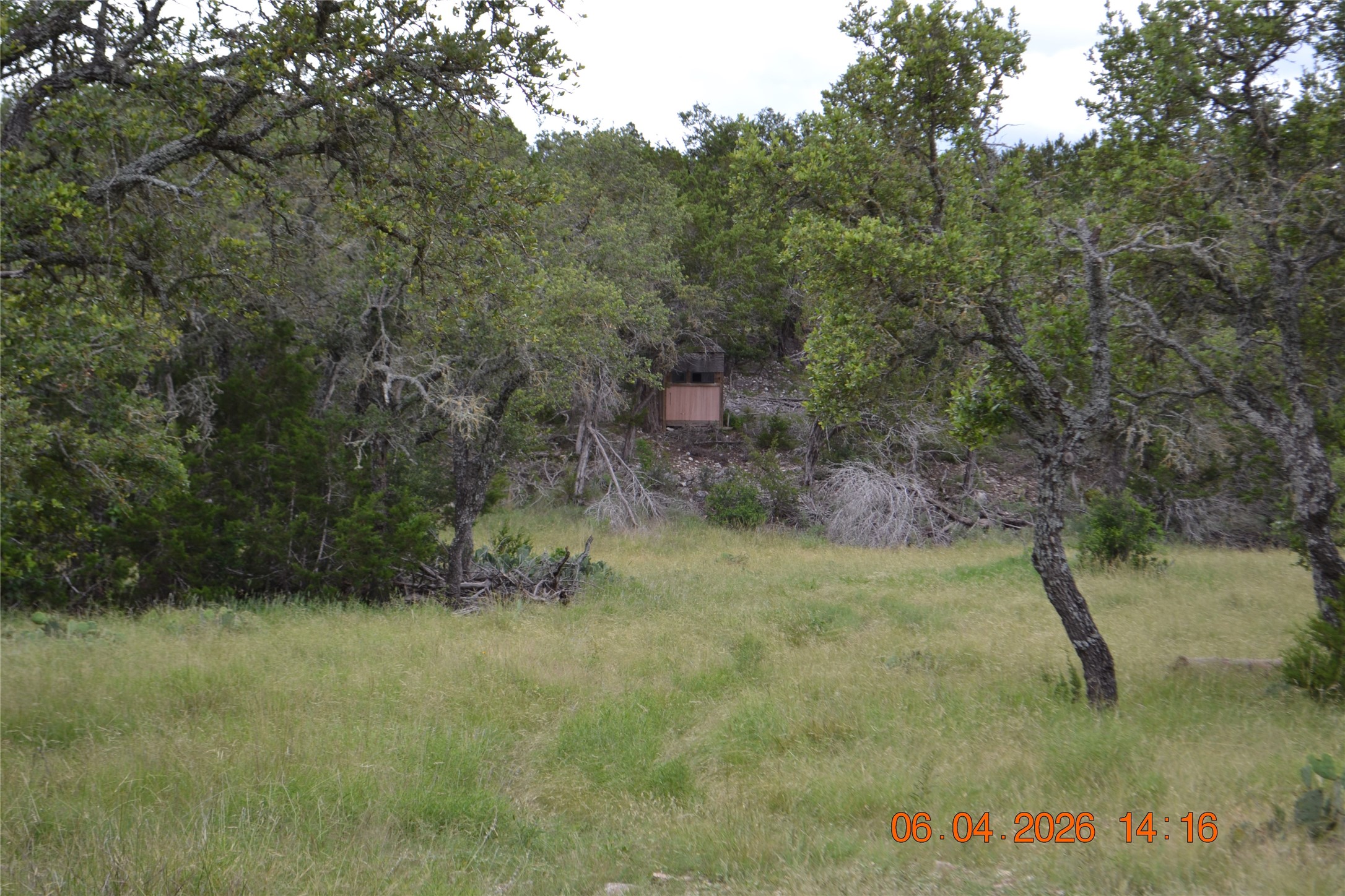 211 Ringtail Road Northwest Junction, TX 76849 - Photo 22 of 24 a view of a yard with a tree
