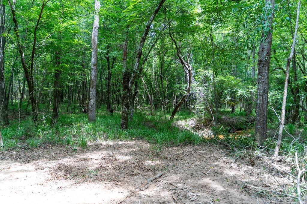 3 Comers Pond Road Pittsview, AL 36871 - Photo 15 of 51