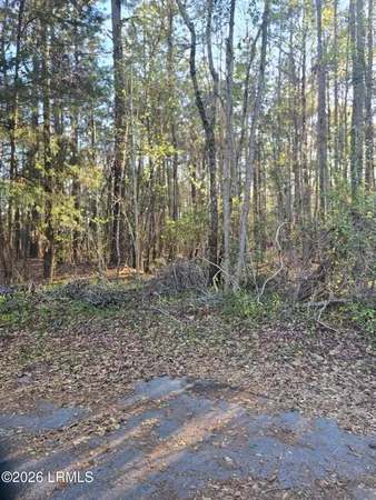 $18,000 | Lot 12 Freeman Street, Brunson, SC 29911