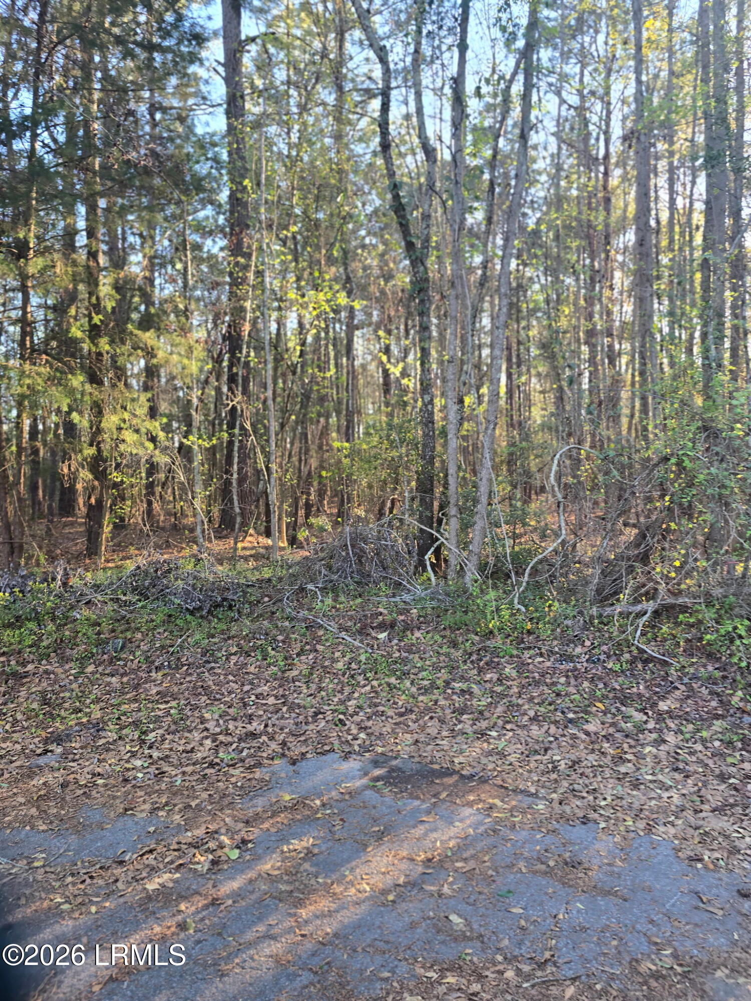 Lot 12 Freeman Street Brunson, SC 29911 - Photo 2 of 8 4650842069989056899