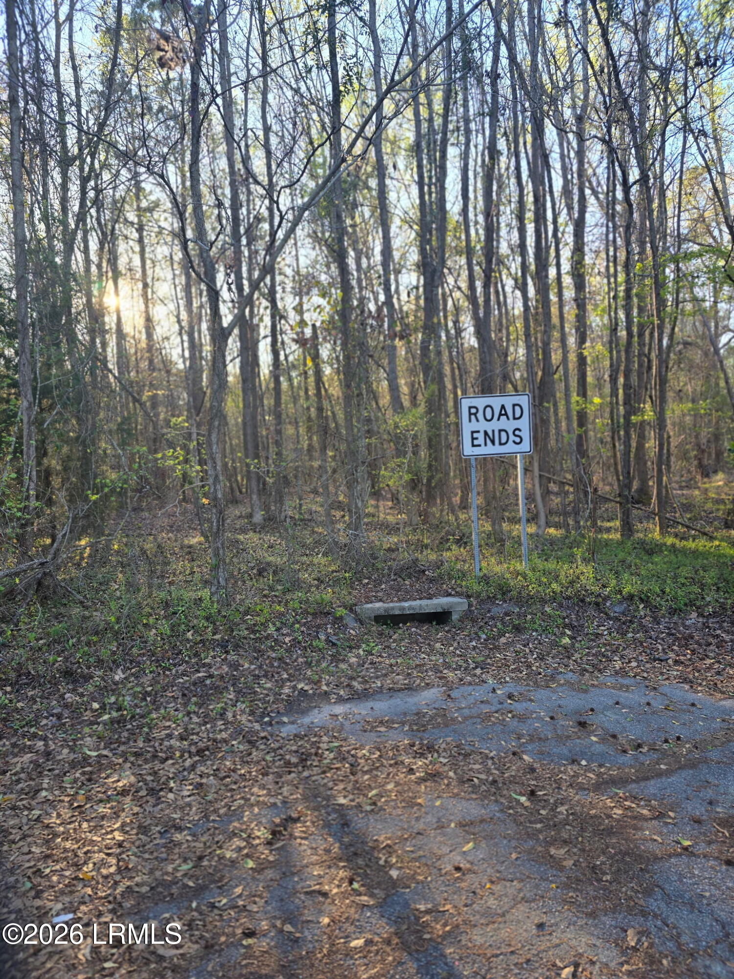 Lot 12 Freeman Street Brunson, SC 29911 - Photo 3 of 8 4888682294535740492