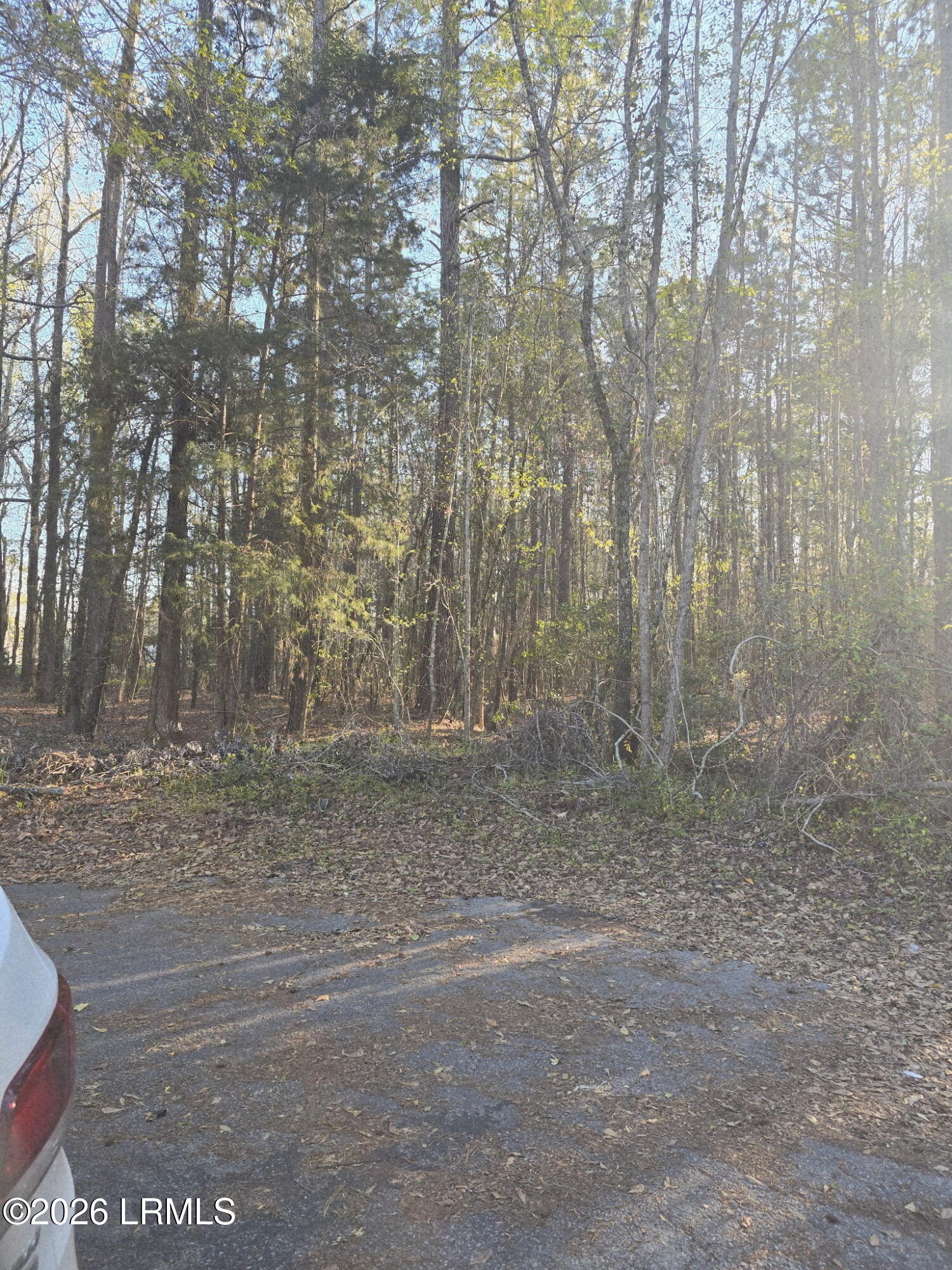 Lot 12 Freeman Street Brunson, SC 29911 - Photo 4 of 8 4929751075676186123