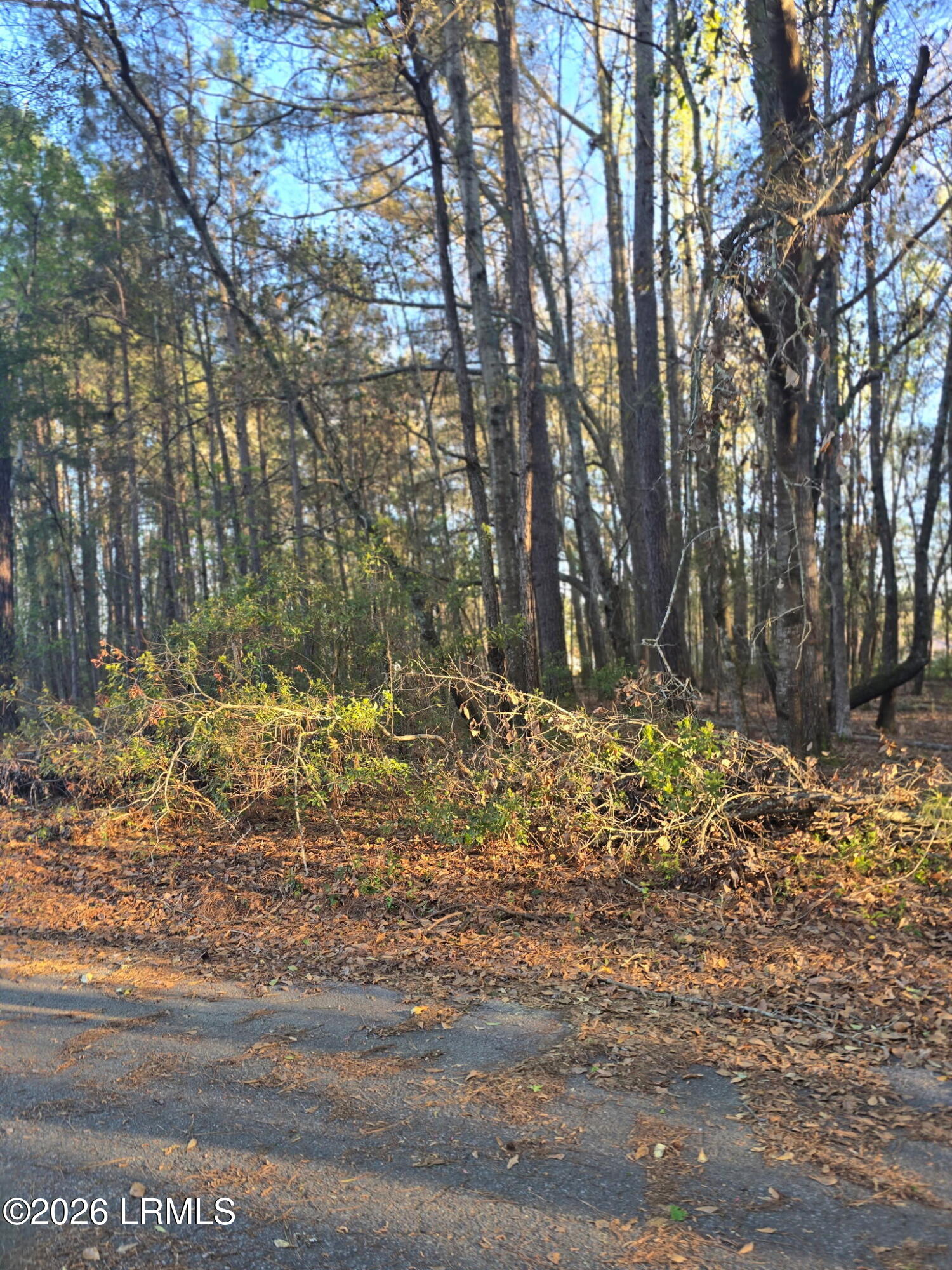 Lot 12 Freeman Street Brunson, SC 29911 - Photo 5 of 8 5209783985566354202