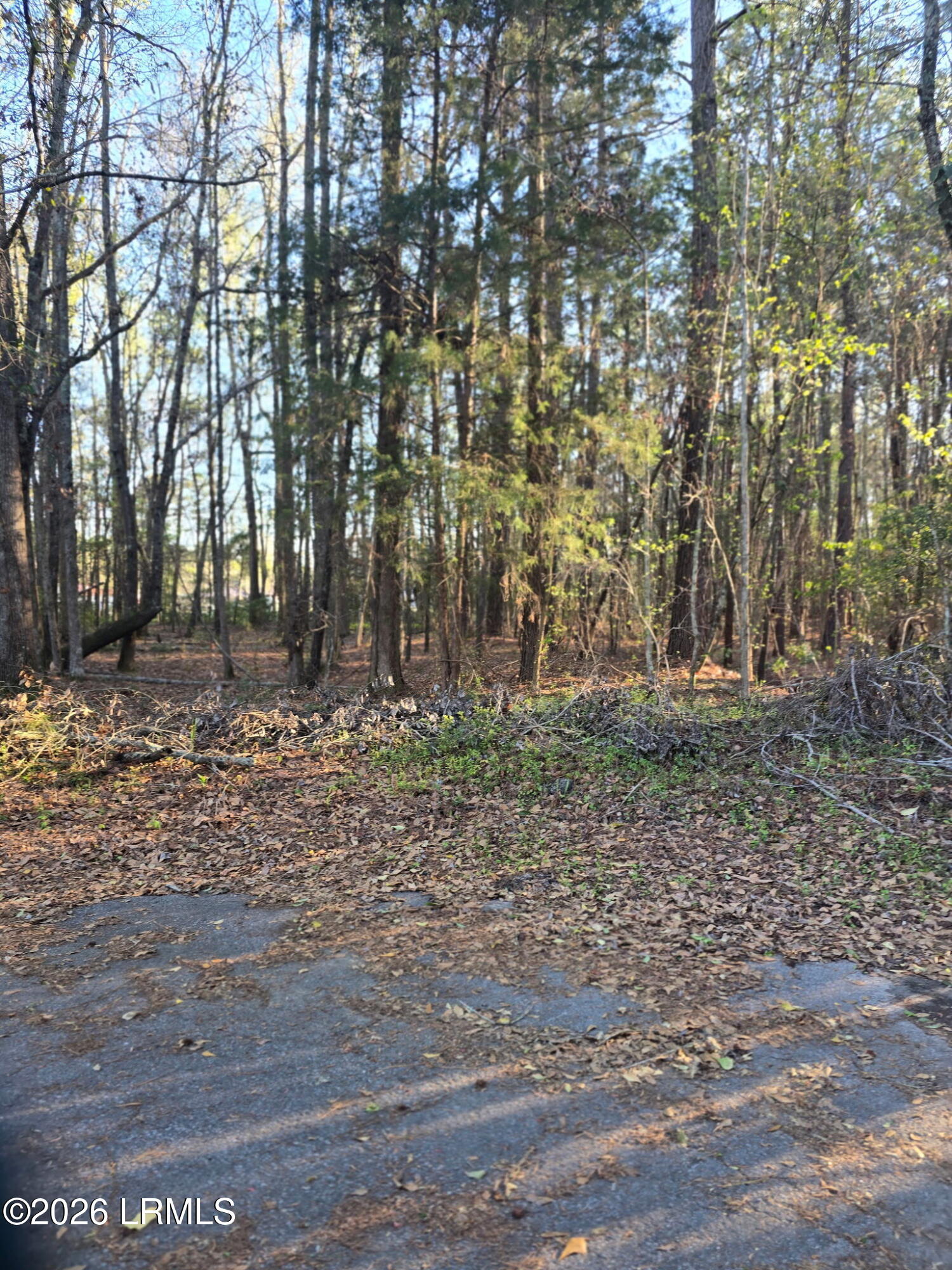 Lot 12 Freeman Street Brunson, SC 29911 - Photo 6 of 8 8111070715644157684