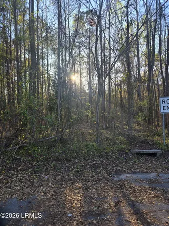 $18,000 | Lot 12 Freeman Street, Brunson, SC 29911