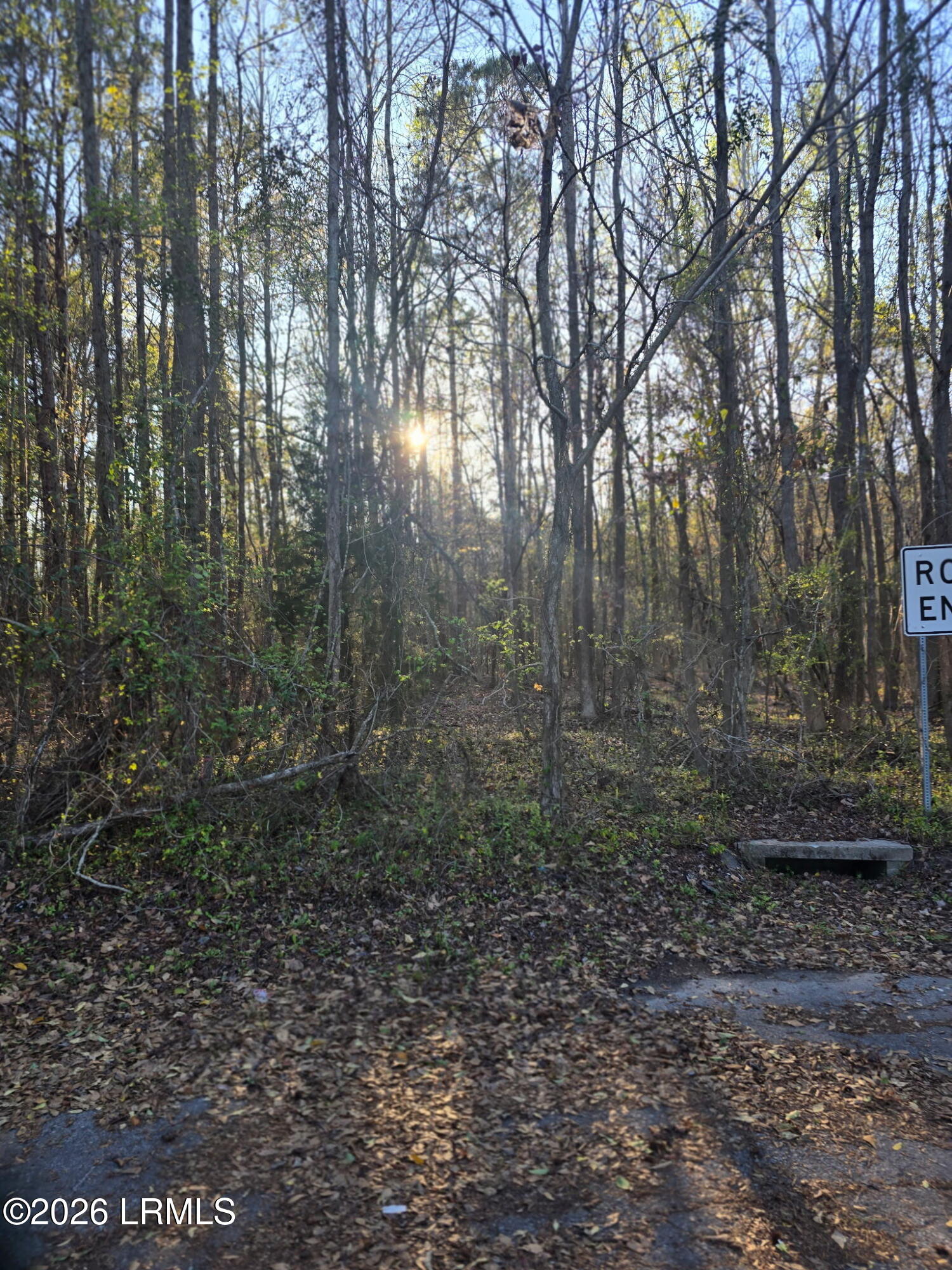 Lot 12 Freeman Street Brunson, SC 29911 - Photo 7 of 8 8537487157594481014