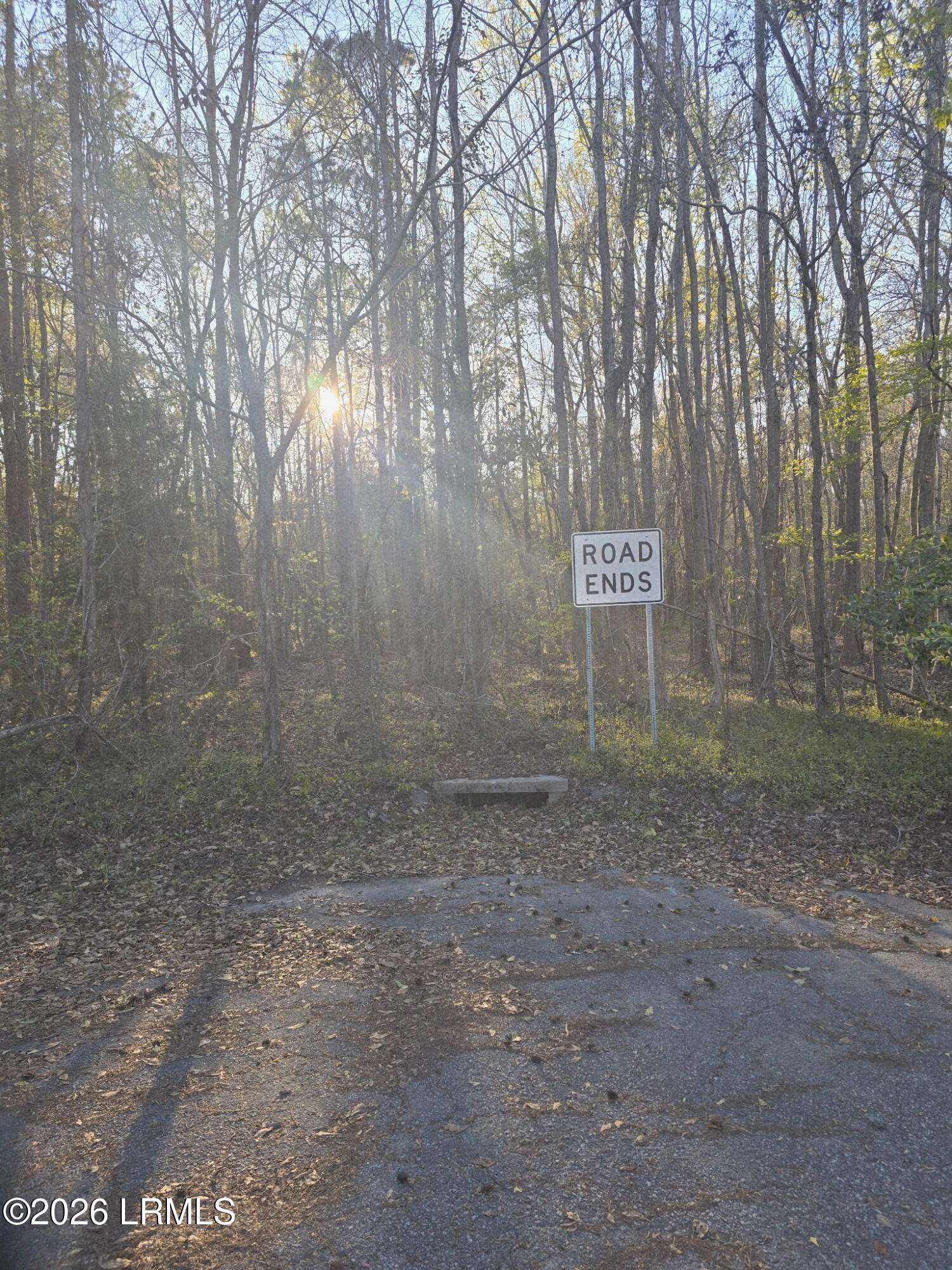 Lot 12 Freeman Street Brunson, SC 29911 - Photo 8 of 8 8697163145464485582