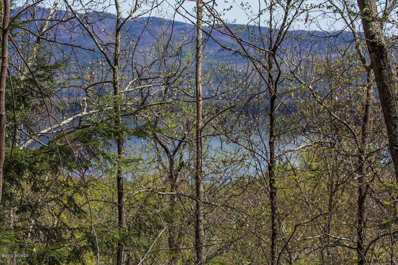 25 Olde Coach Road Lake George, NY 12845 - Photo 3 of 32 Photo 3