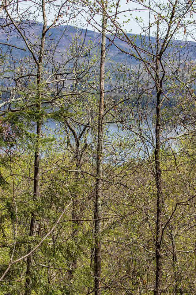 25 Olde Coach Road Lake George, NY 12845 - Photo 4 of 32 Photo 4