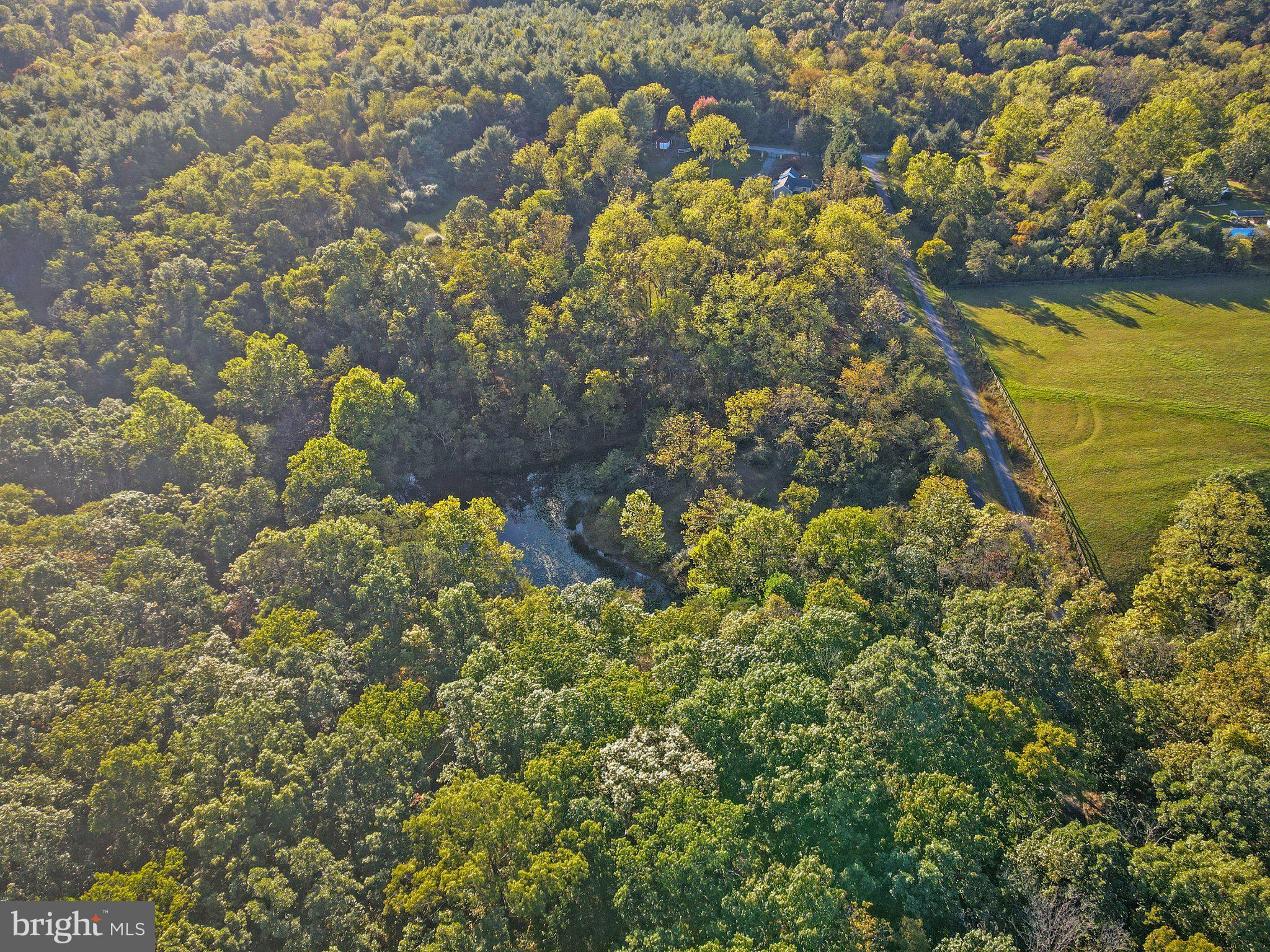 10819 Shanktown Road Big Pool, MD 21711 - Photo 13 of 79