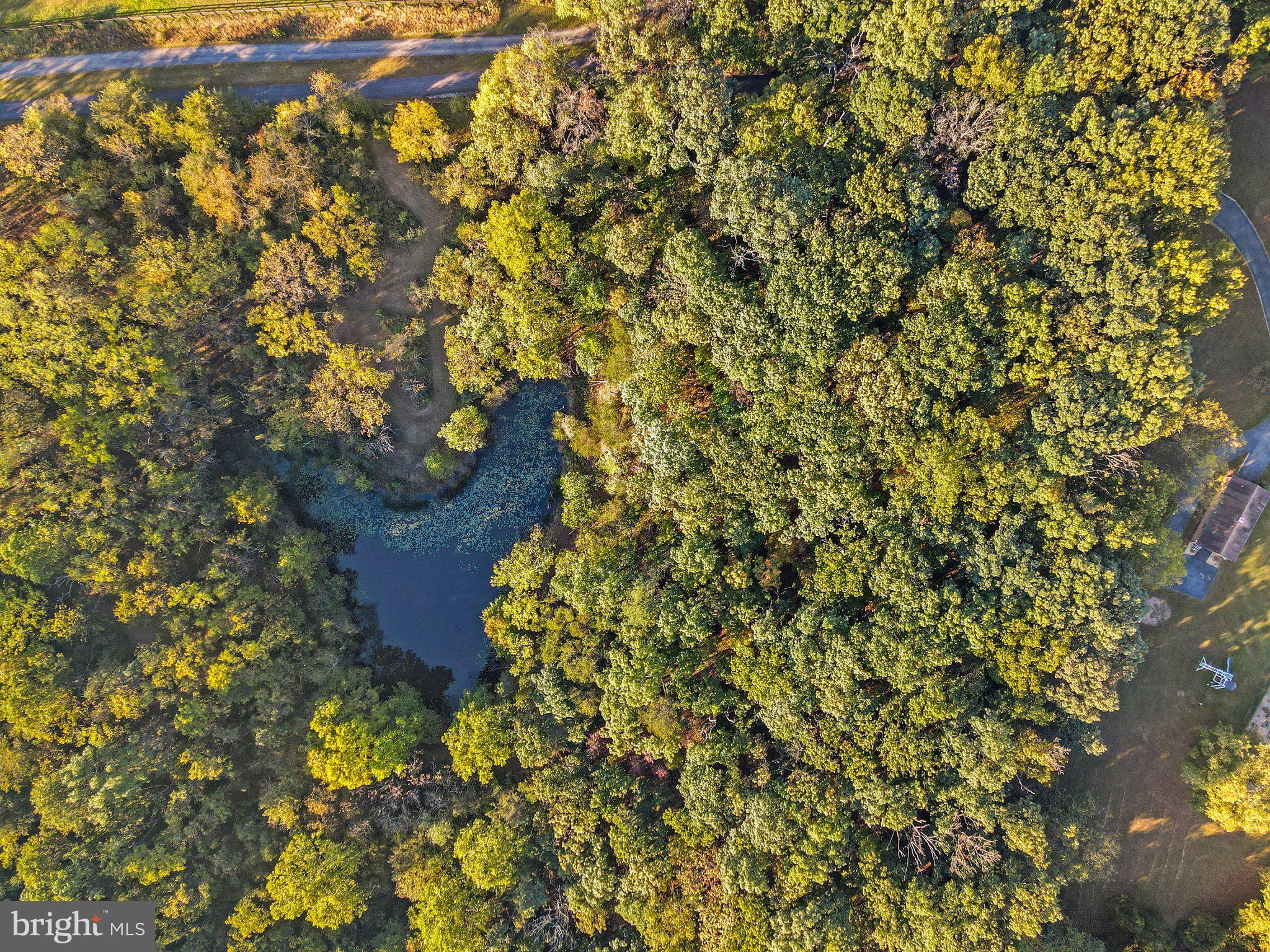 10819 Shanktown Road Big Pool, MD 21711 - Photo 15 of 79