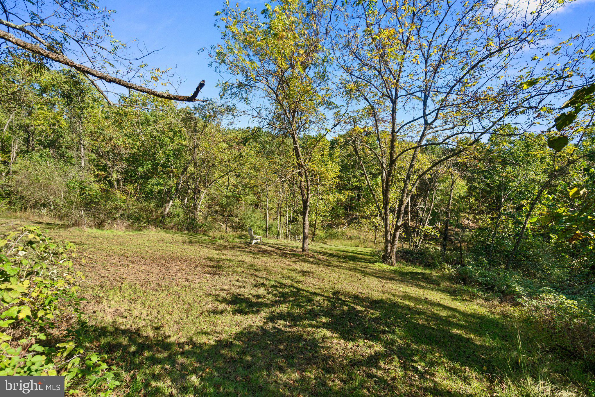 10819 Shanktown Road Big Pool, MD 21711 - Photo 38 of 79