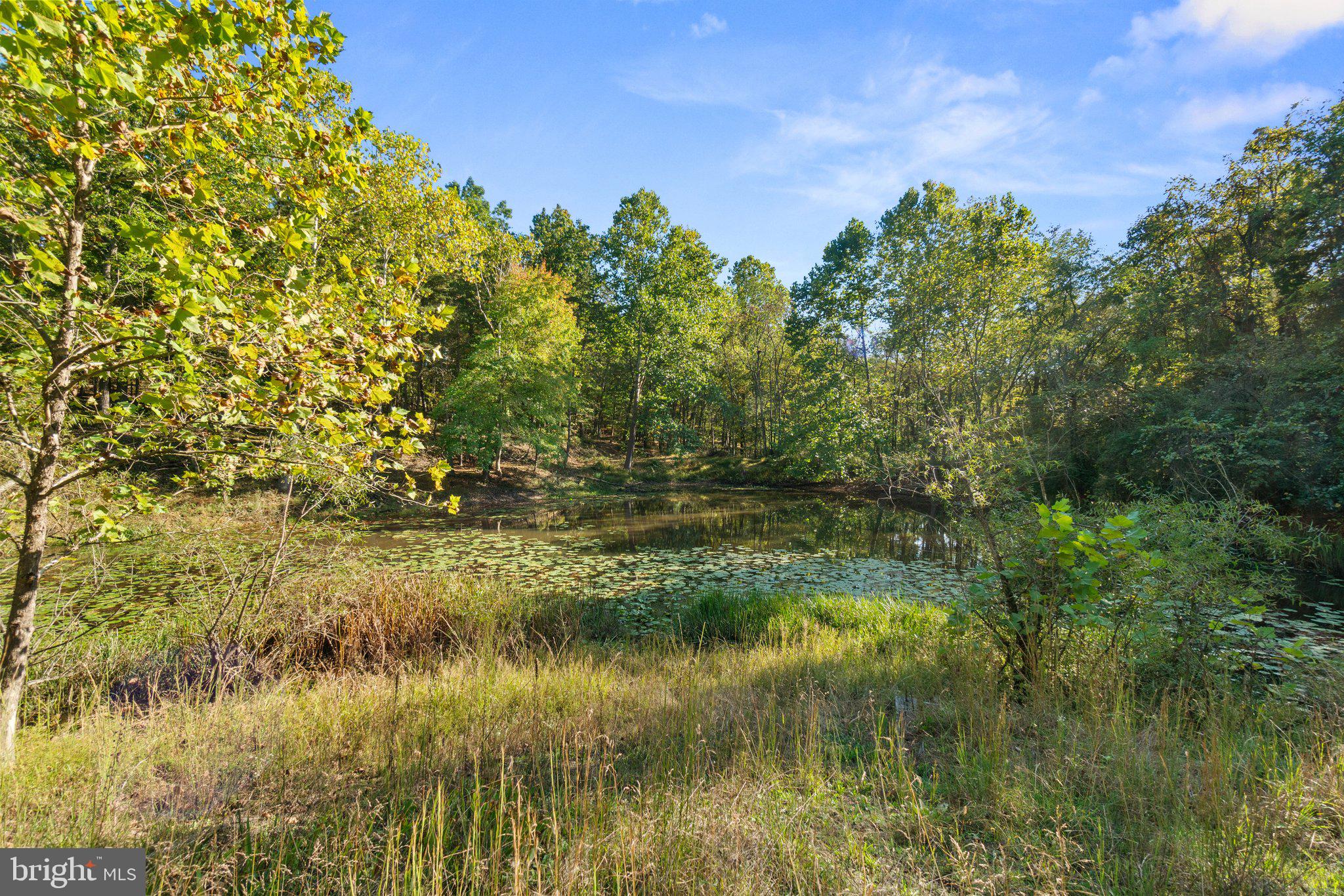 10819 Shanktown Road Big Pool, MD 21711 - Photo 40 of 79 a view of lake
