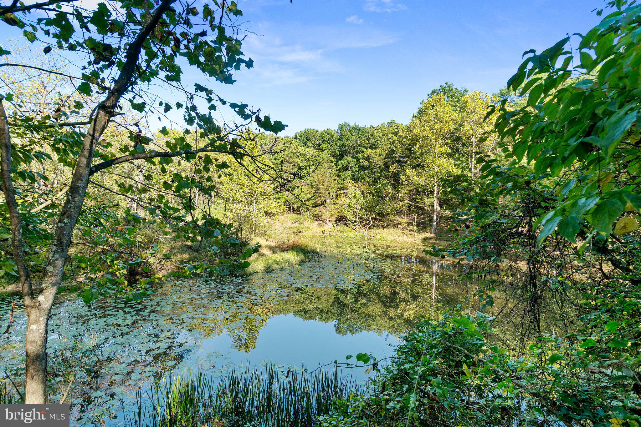 10819 Shanktown Road Big Pool, MD 21711 - Photo 41 of 79 a view of a garden