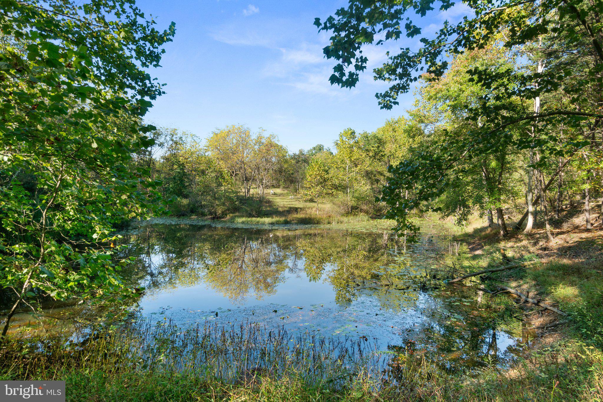 10819 Shanktown Road Big Pool, MD 21711 - Photo 42 of 79
