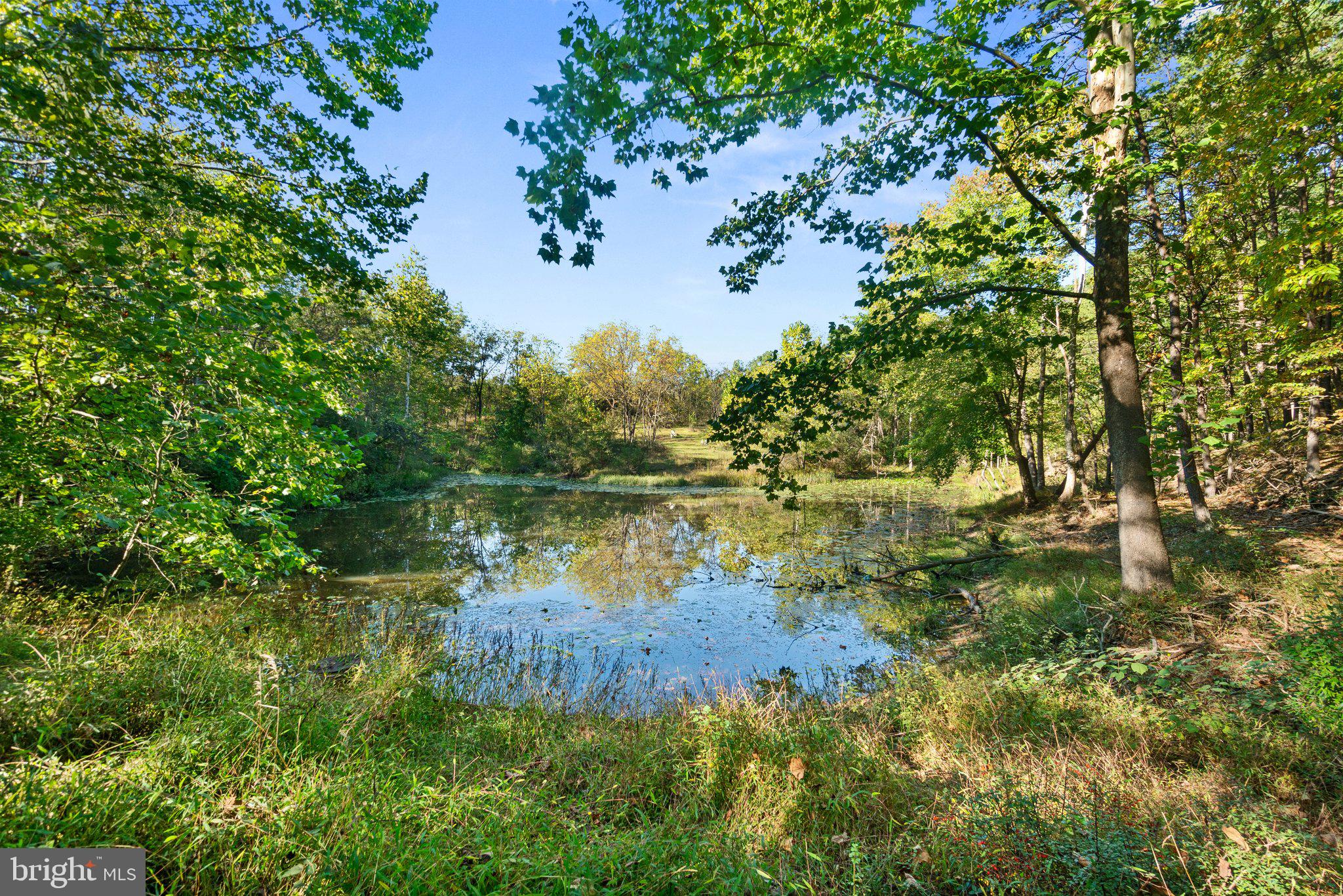 10819 Shanktown Road Big Pool, MD 21711 - Photo 43 of 79 a view of lake with green space