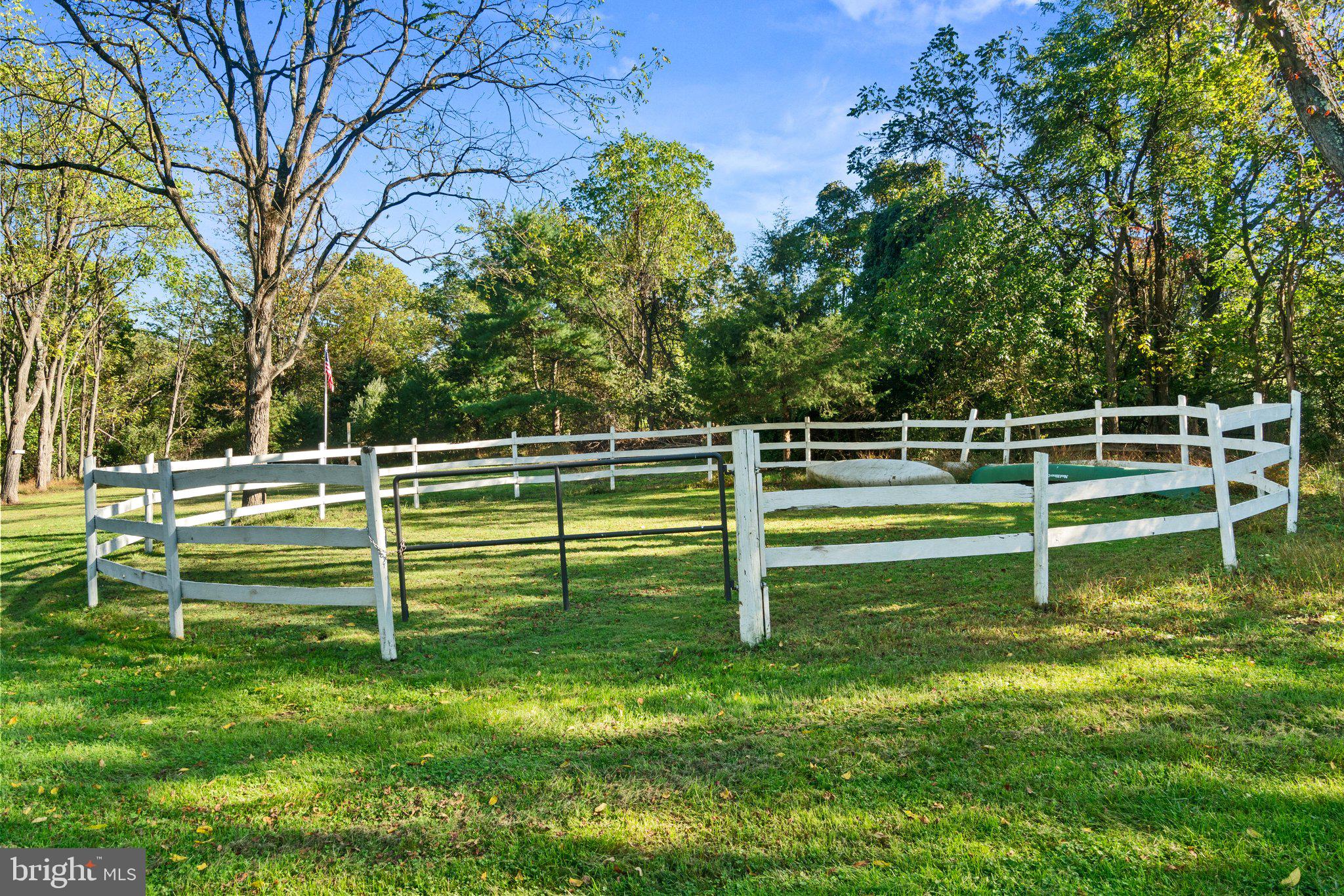 10819 Shanktown Road Big Pool, MD 21711 - Photo 7 of 79 a view of a park with large trees