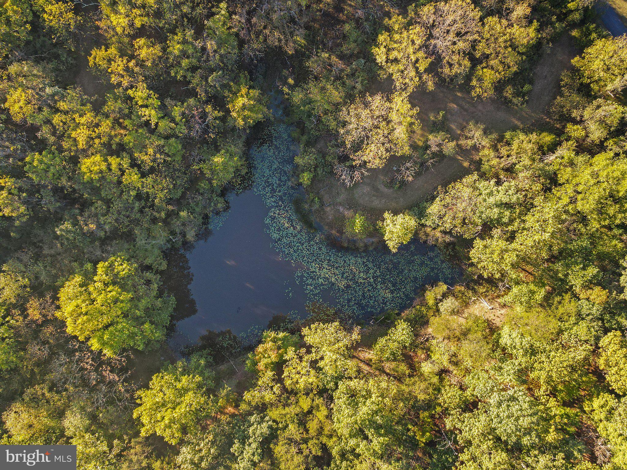 10819 Shanktown Road Big Pool, MD 21711 - Photo 10 of 79 a view of flowers in a yard