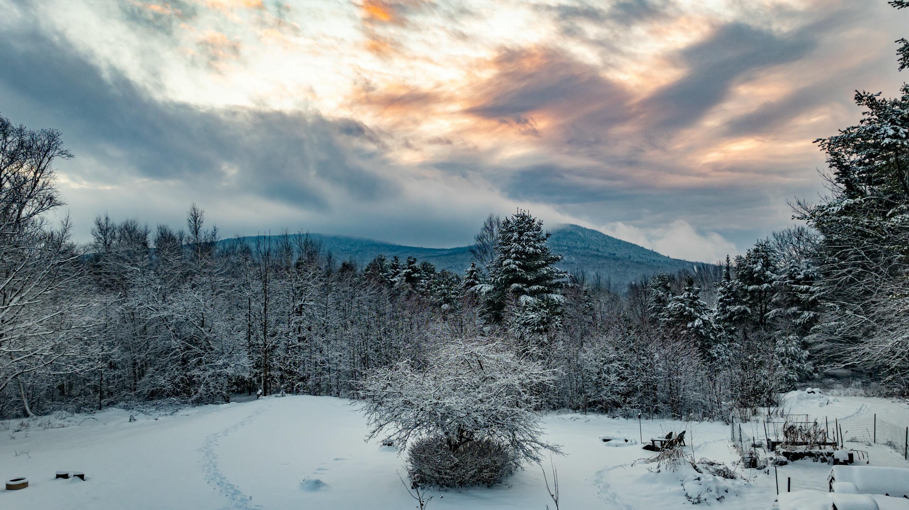 2076 Mann Hill Road Dedham, ME 04429 - Photo 9 of 81 tempImageZZ856O