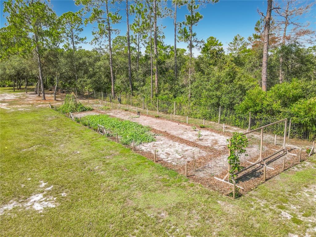 31120 Lake Holly Road DeLand, FL 32720 - Photo 44 of 64 Gallery Image 44