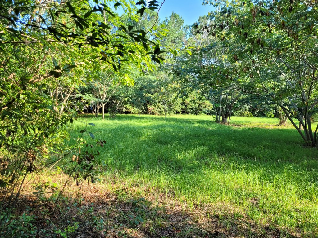 20 Inverness Court Sumter, SC 29154 - Photo 3 of 7 Gallery Image 3