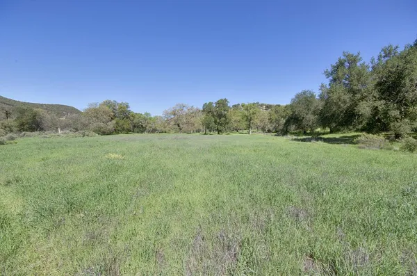 a view of a field with a tree in the background