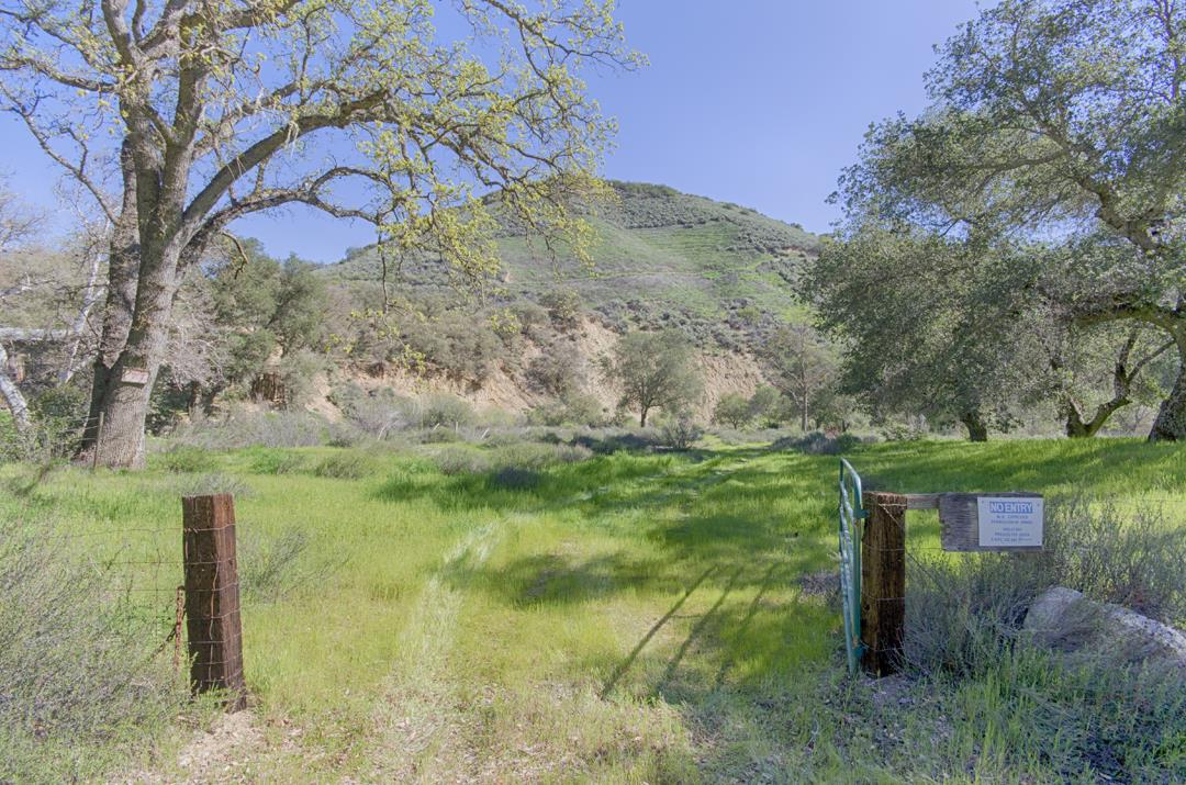 43515 East Carmel Valley Road Greenfield, CA 93927 - Photo 8 of 38 a view of a yard with a tree