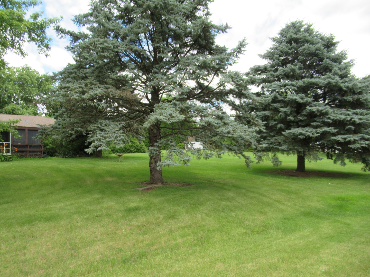 1N321 Country Life Drive Maple Park, IL 60151 - Photo 51 of 53