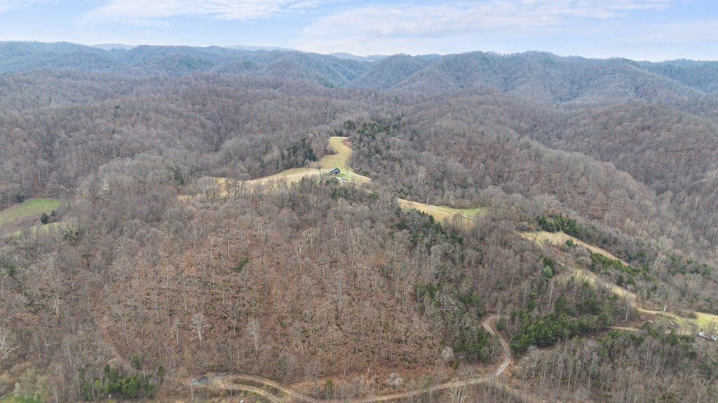7252 Appaloosa Road Mendota, VA 24270 - Photo 24 of 26 Gallery Image 24
