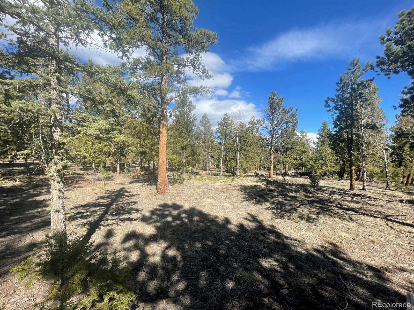 140 Singletree Road Hartsel, CO 80449 - Photo 4 of 12 Gallery Image 4