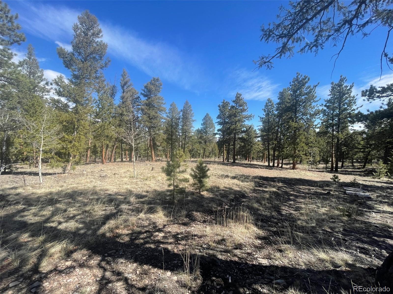 140 Singletree Road Hartsel, CO 80449 - Photo 7 of 12 Gallery Image 7