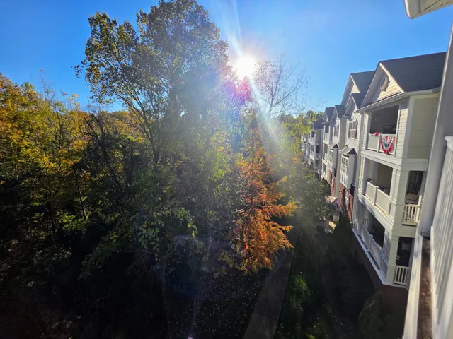 a backyard of a house
