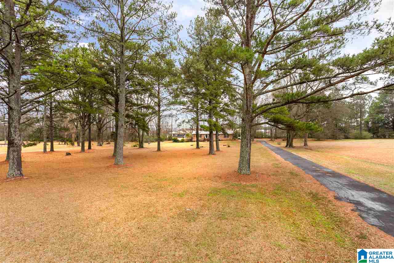 222 20th Street Oneonta, AL 35121 - Photo 5 of 38