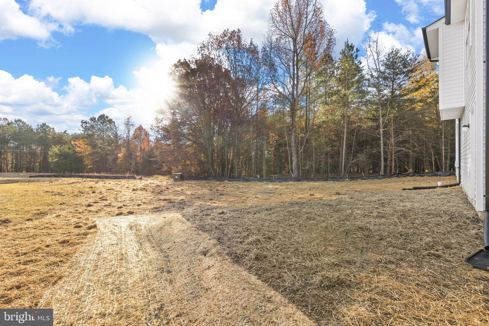 3319 Partlow Road Partlow, VA 22534 - Photo 41 of 47 a view of yard covered with snow