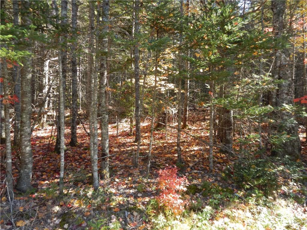 Lot 38 Grand Marsh Bay Road Corea, ME 04624 - Photo 10 of 17 Photo