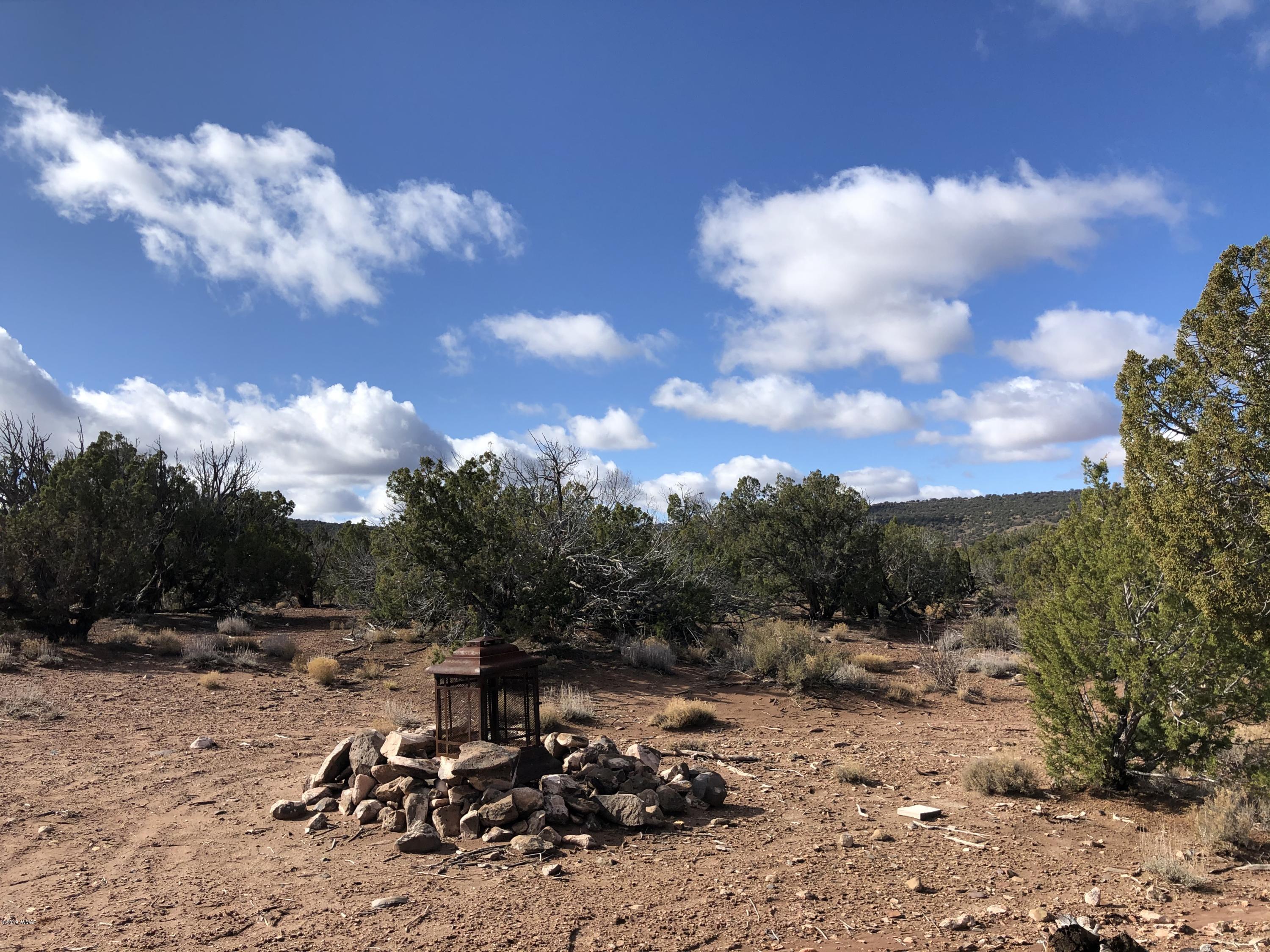 Tbd Tbd Concho, AZ 85924 - Photo 3 of 8