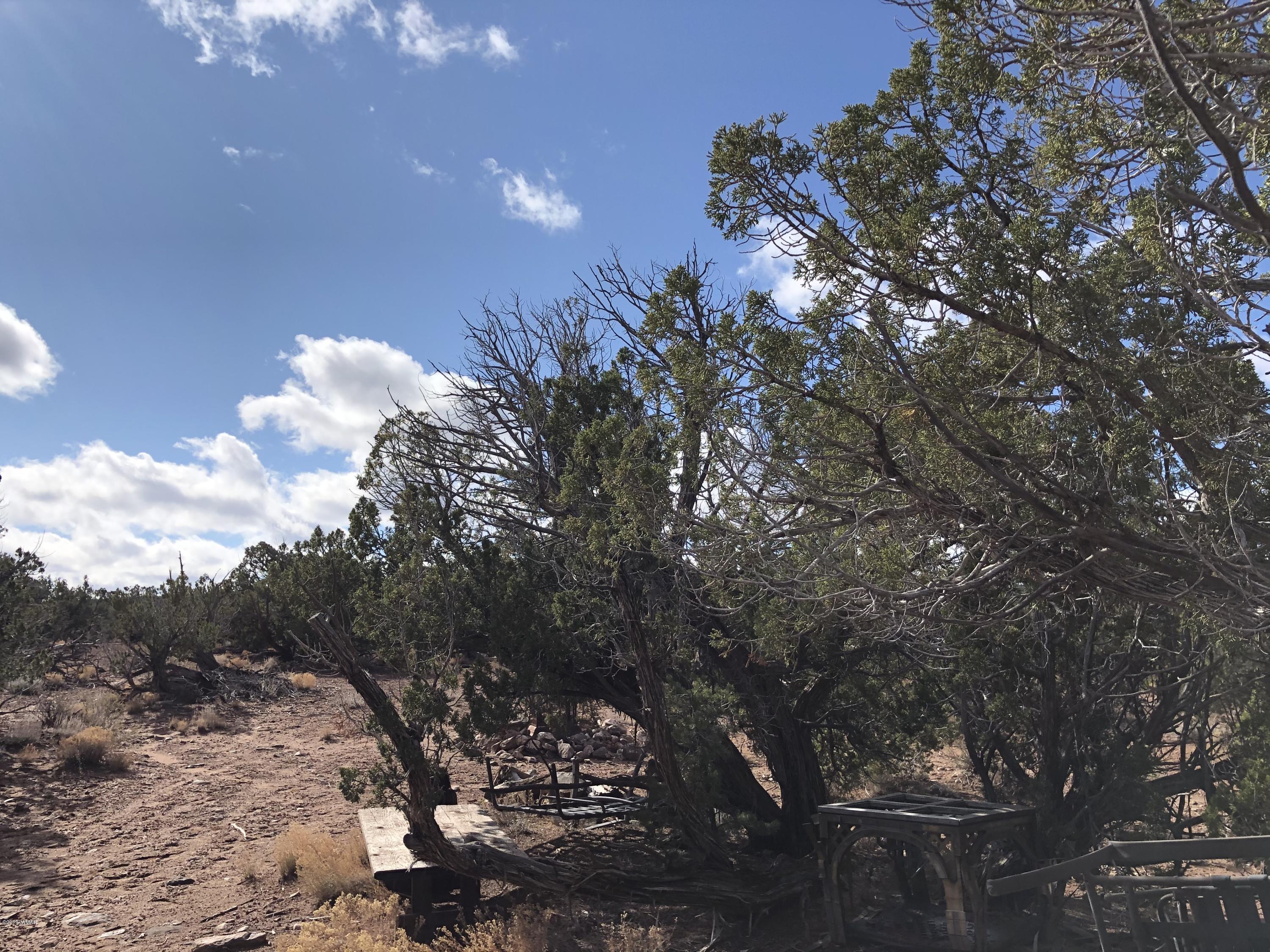 Tbd Tbd Concho, AZ 85924 - Photo 4 of 8