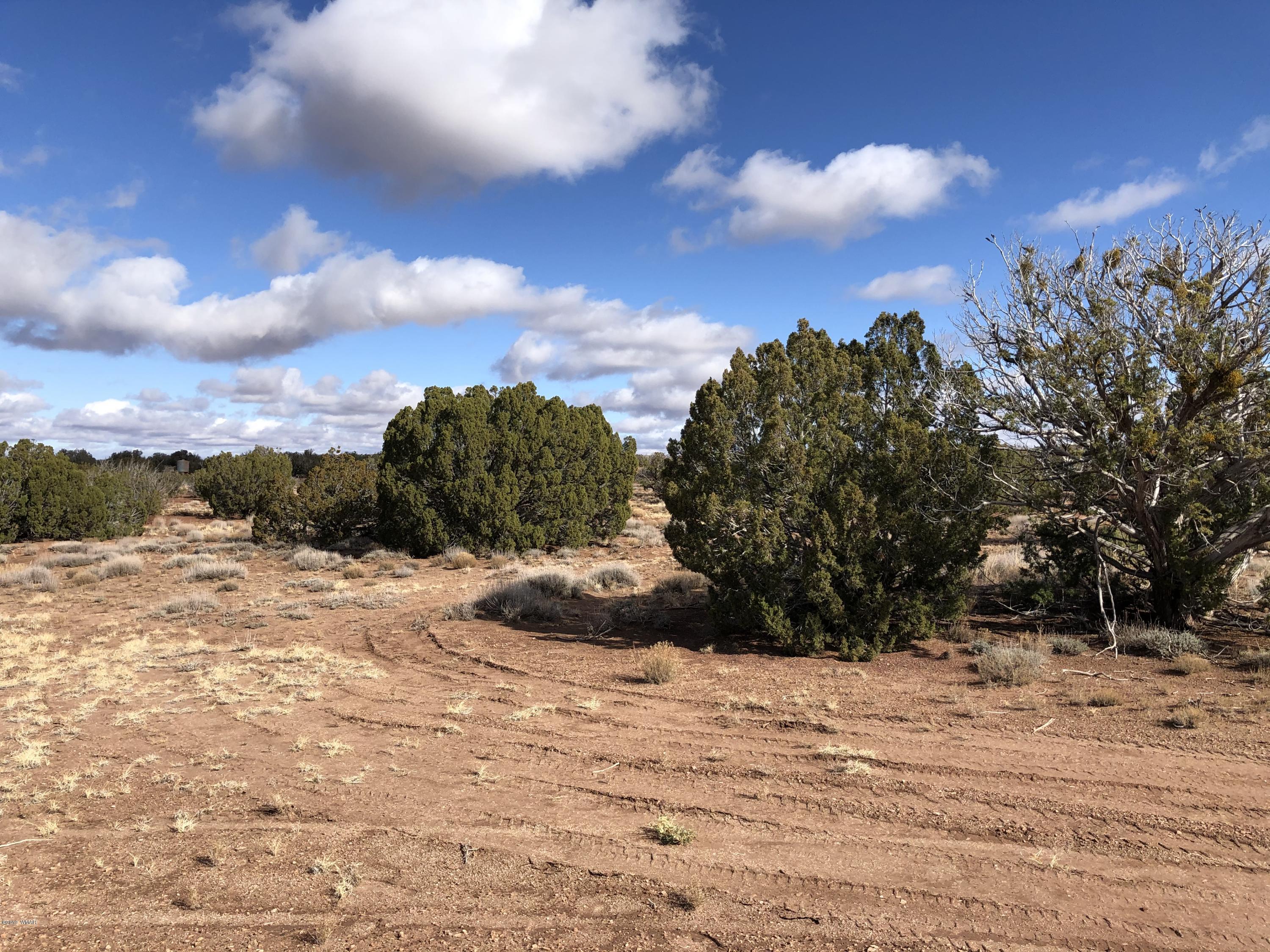 Tbd Tbd Concho, AZ 85924 - Photo 7 of 8