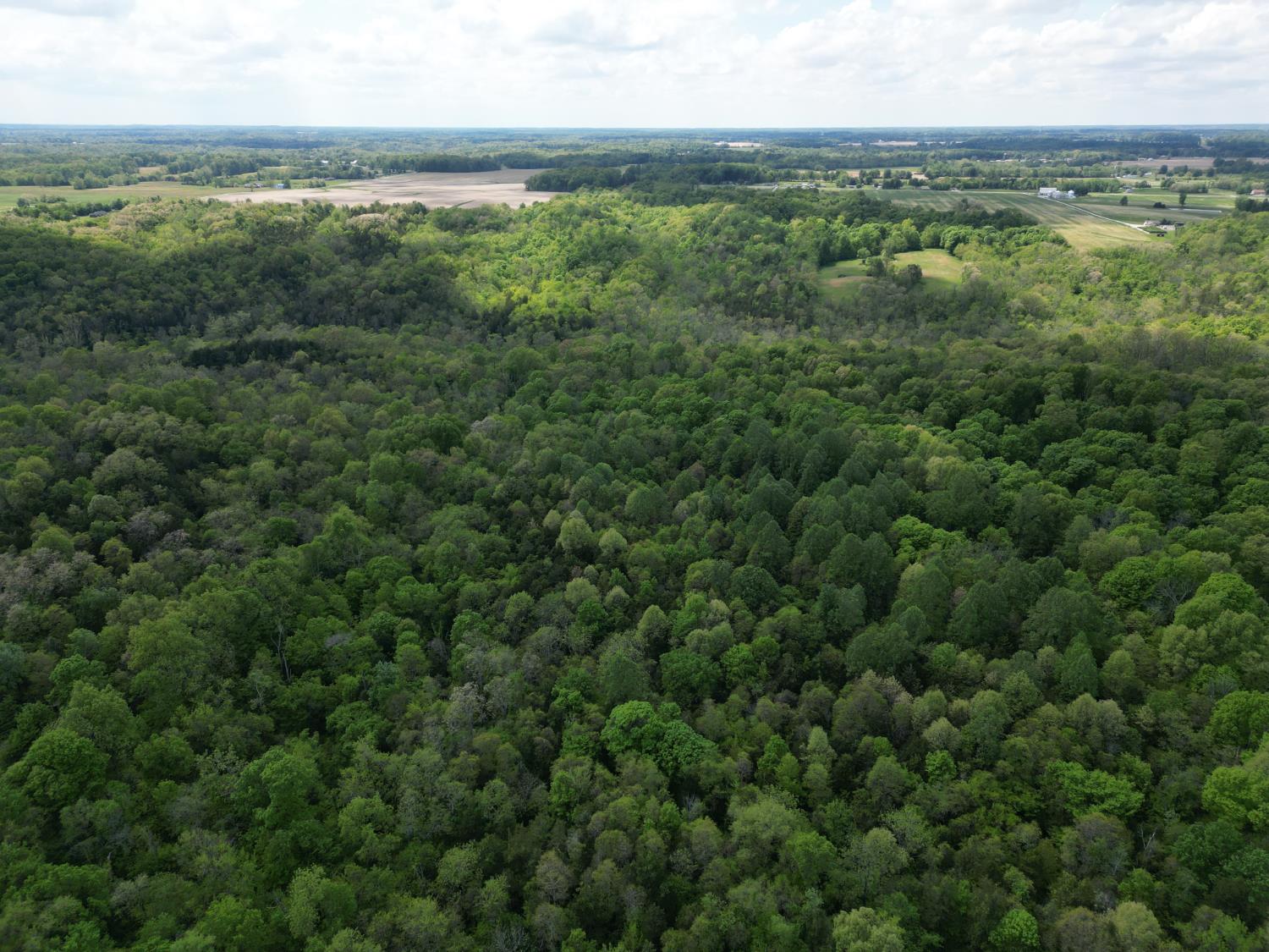 0 Chesterville Road Moores Hill, IN 47032 - Photo 13 of 31