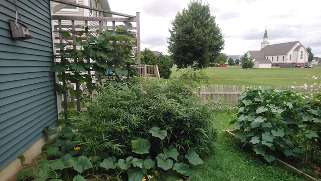 $550,000 | 3133 Pleasant Street, Sun Prairie, WI 53590