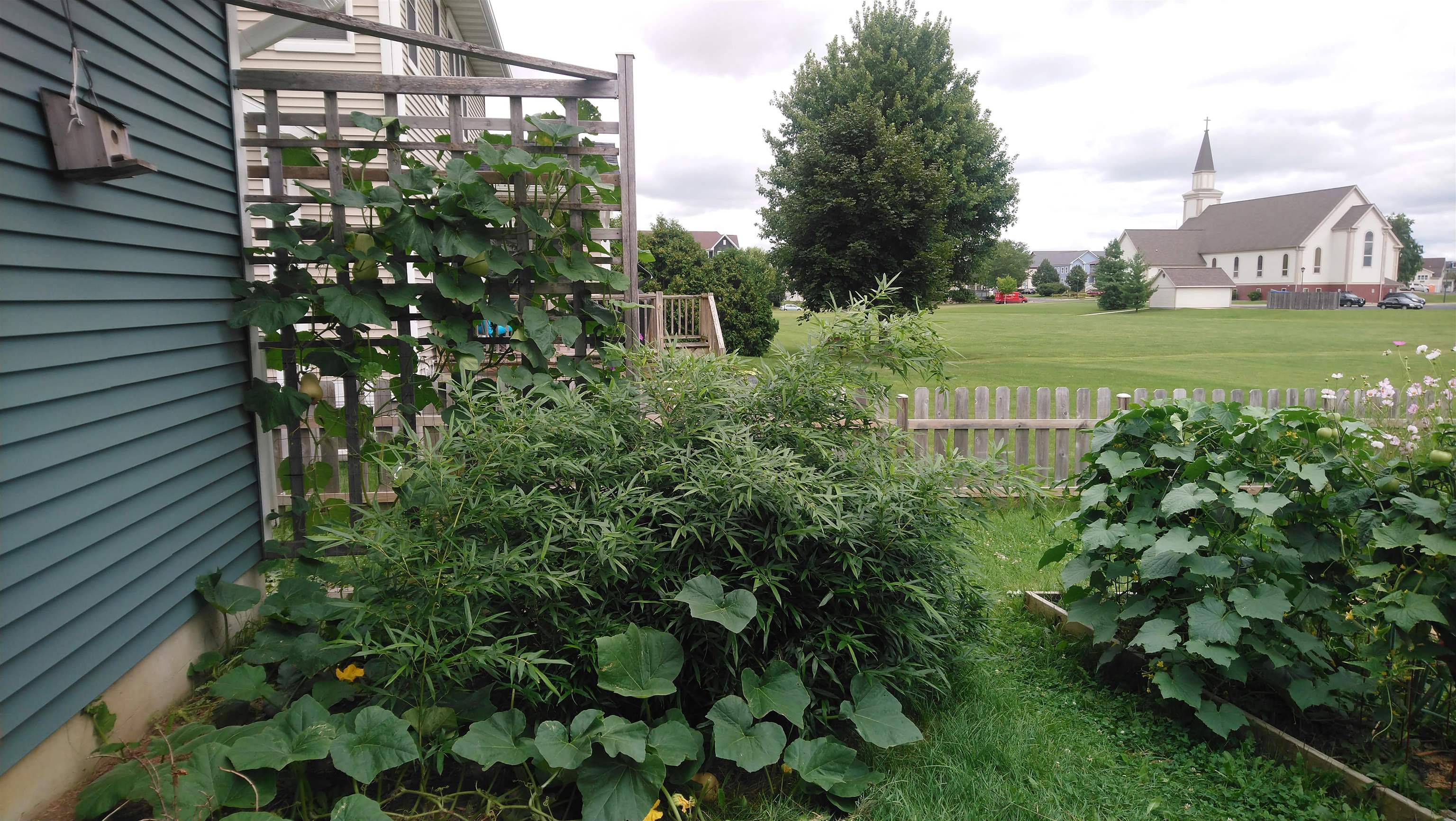 3133 Pleasant Street Sun Prairie, WI 53590 - Photo 60 of 63