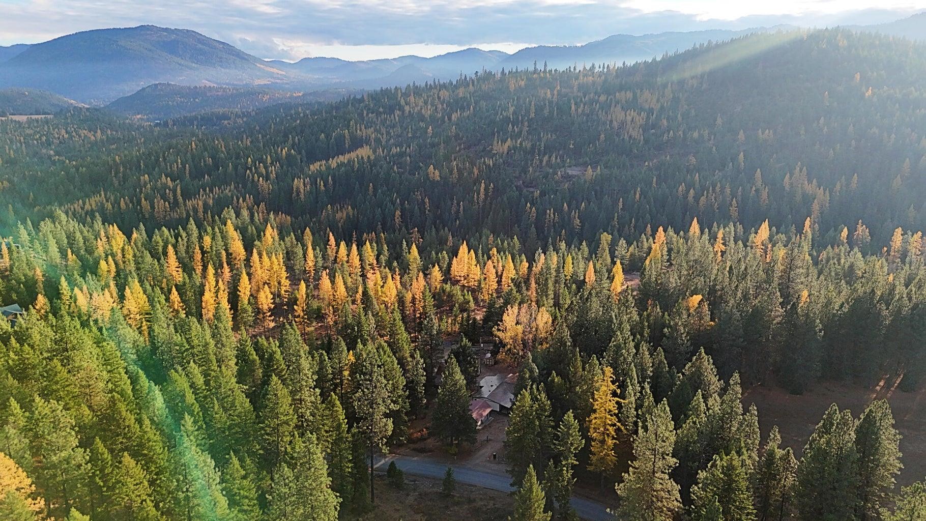 1077 Middle Basin Road Colville, WA 99114 - Photo 1 of 50