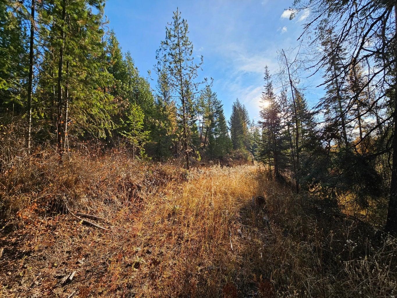 1077 Middle Basin Road Colville, WA 99114 - Photo 37 of 50