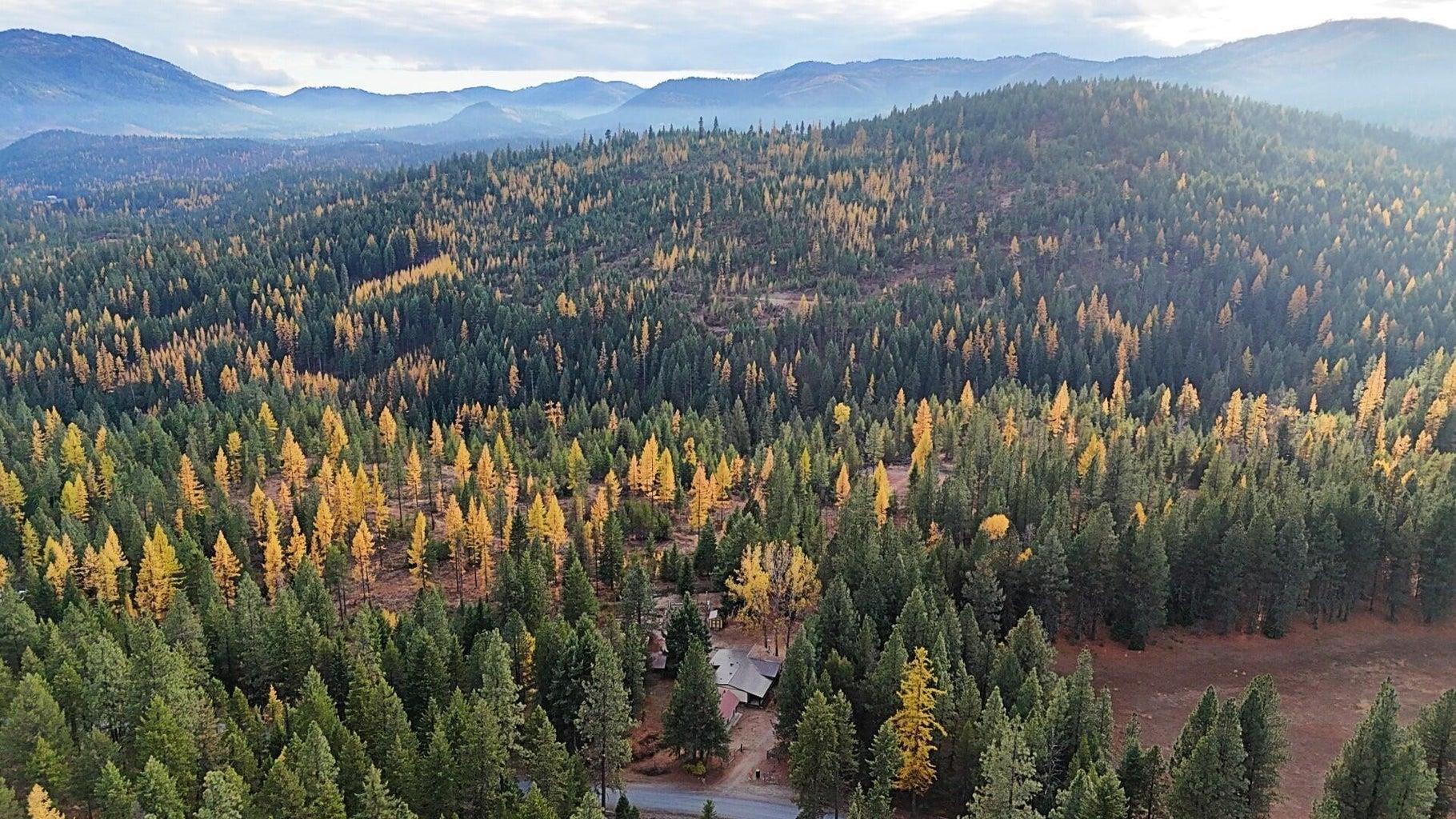 1077 Middle Basin Road Colville, WA 99114 - Photo 40 of 50