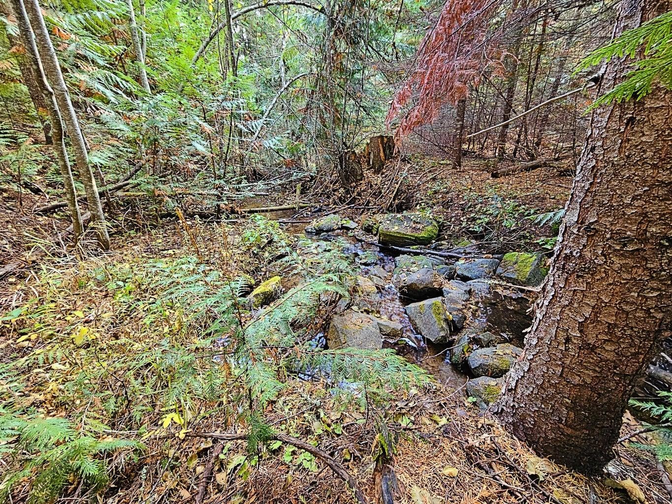 1077 Middle Basin Road Colville, WA 99114 - Photo 41 of 50