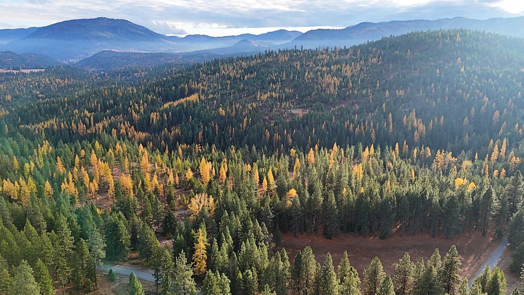 1077 Middle Basin Road Colville, WA 99114 - Photo 42 of 50