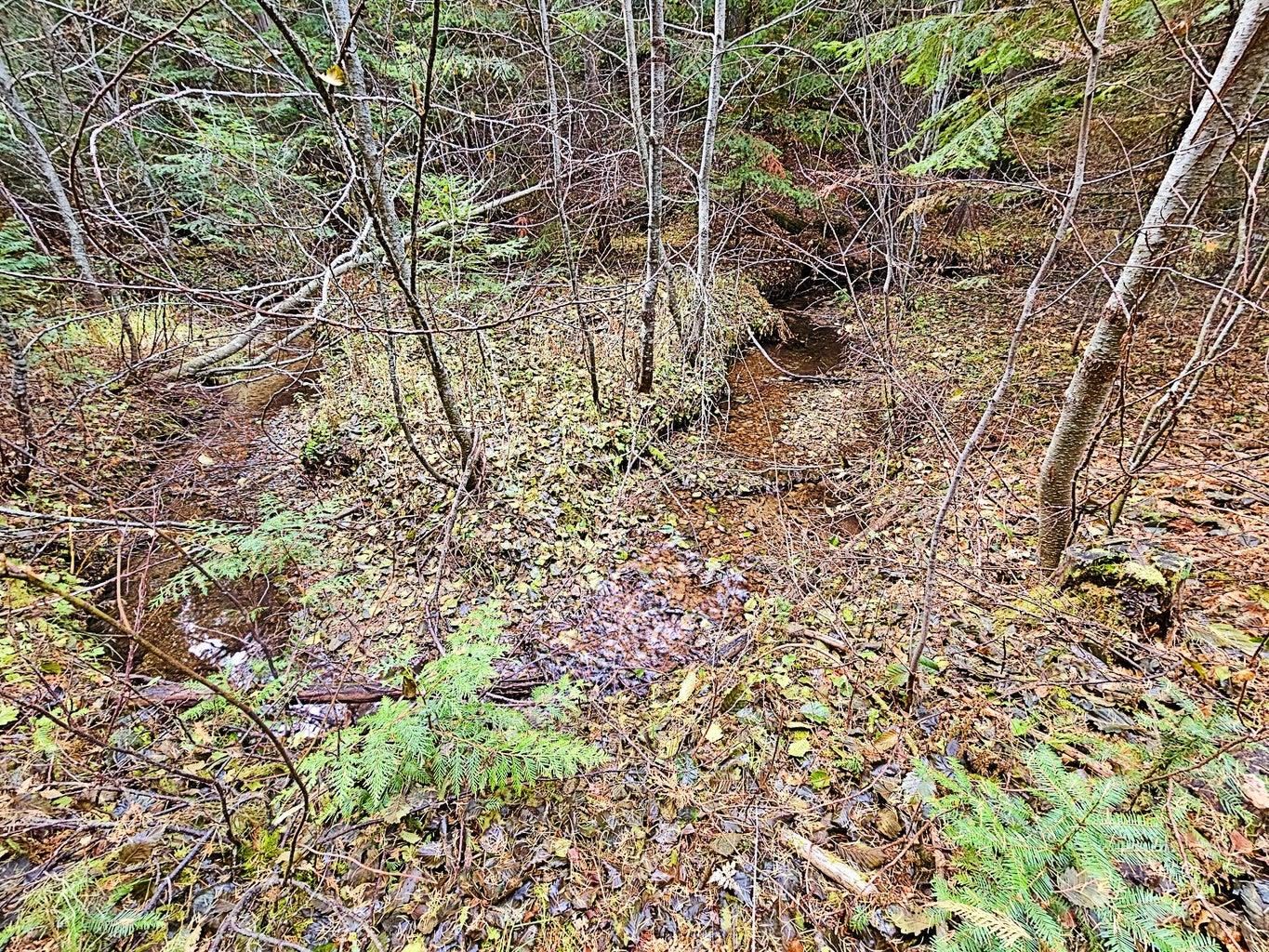 1077 Middle Basin Road Colville, WA 99114 - Photo 43 of 50