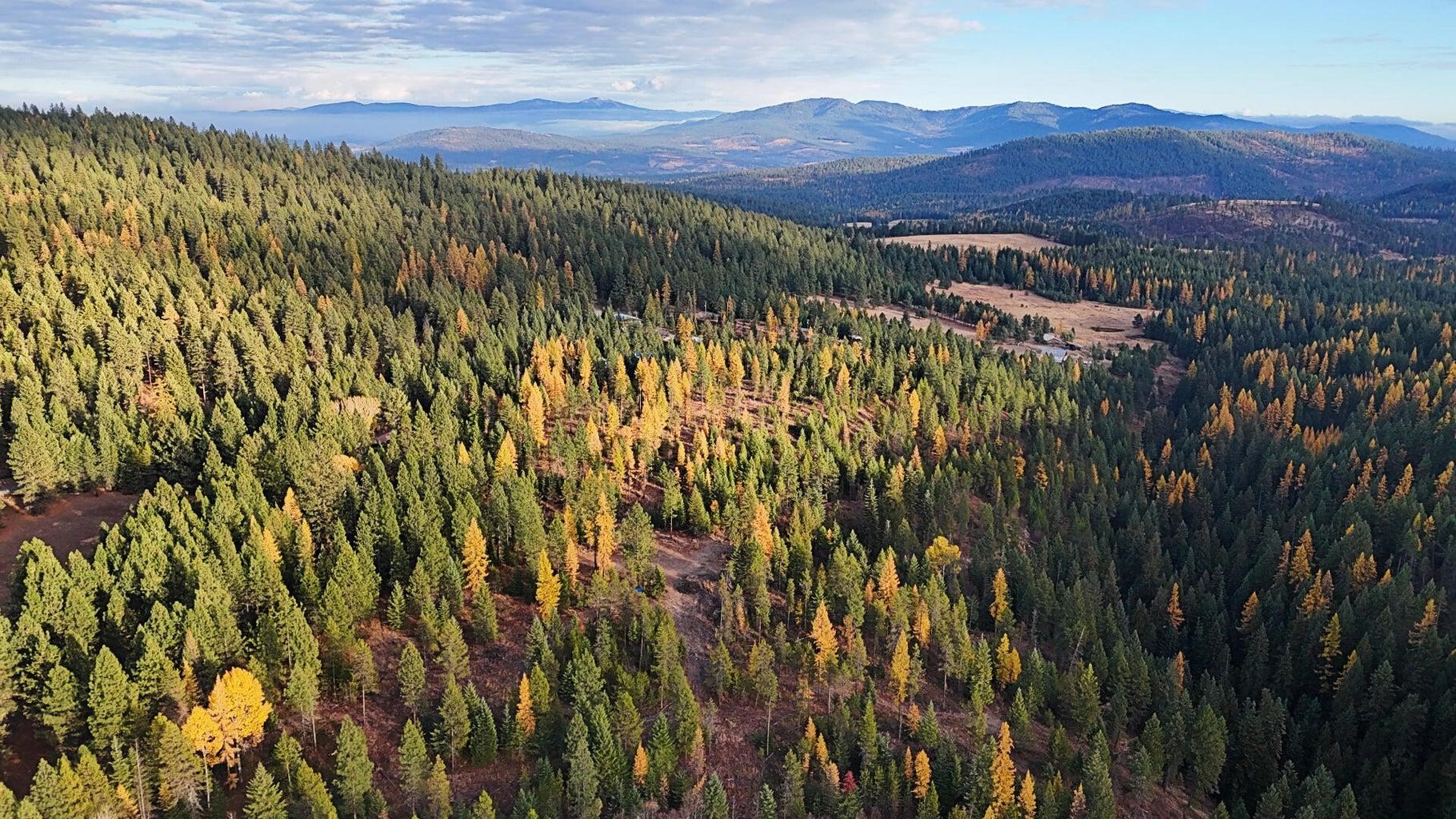 1077 Middle Basin Road Colville, WA 99114 - Photo 50 of 50